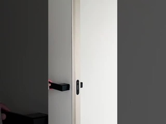 Aluminum-wood door