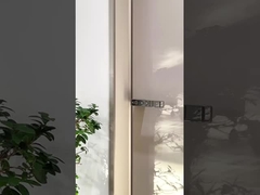 Aluminum-wood door 