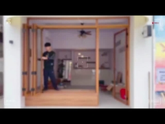 Folding DOOR