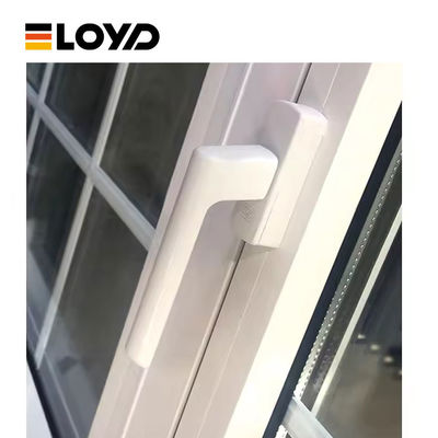Customized Size Wrought Iron Doors And Window Glass Fixed French Door